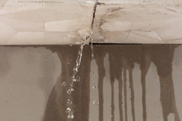 Professional Structural Drying technician working in Berne, IN